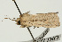  ( - UKLB26H04)  @11 [ ] CreativeCommons - Attribution (2009) Unspecified Centre for Biodiversity Genomics