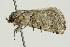  ( - UKLB26H06)  @13 [ ] CreativeCommons - Attribution (2009) Unspecified Centre for Biodiversity Genomics