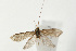  ( - UKLB30A06)  @14 [ ] CreativeCommons - Attribution (2009) Unspecified Centre for Biodiversity Genomics