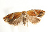  ( - UKLB30B08)  @12 [ ] CreativeCommons - Attribution (2009) Unspecified Centre for Biodiversity Genomics