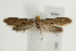  ( - UKLB30B12)  @13 [ ] CreativeCommons - Attribution (2009) Unspecified Centre for Biodiversity Genomics