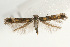  ( - UKLB30C01)  @13 [ ] CreativeCommons - Attribution (2009) Unspecified Centre for Biodiversity Genomics