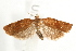  ( - UKLB30C07)  @13 [ ] CreativeCommons - Attribution (2009) Unspecified Centre for Biodiversity Genomics