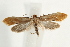  ( - UKLB30C08)  @15 [ ] CreativeCommons - Attribution (2009) Unspecified Centre for Biodiversity Genomics