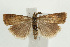  ( - UKLB30D07)  @13 [ ] CreativeCommons - Attribution (2009) Unspecified Centre for Biodiversity Genomics