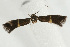  ( - UKLB30E01)  @12 [ ] CreativeCommons - Attribution (2009) Unspecified Centre for Biodiversity Genomics