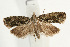  ( - UKLB30F10)  @14 [ ] CreativeCommons - Attribution (2009) Unspecified Centre for Biodiversity Genomics