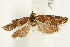  ( - UKLB30G02)  @13 [ ] CreativeCommons - Attribution (2009) Unspecified Centre for Biodiversity Genomics