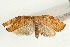 ( - UKLB30G06)  @12 [ ] CreativeCommons - Attribution (2009) Unspecified Centre for Biodiversity Genomics