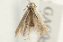  ( - UKLB30H03)  @12 [ ] CreativeCommons - Attribution (2009) Unspecified Centre for Biodiversity Genomics