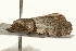  ( - UKLB22C07)  @12 [ ] CreativeCommons - Attribution (2009) Unspecified Centre for Biodiversity Genomics