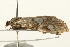  ( - UKLB22D01)  @11 [ ] CreativeCommons - Attribution (2009) Unspecified Centre for Biodiversity Genomics