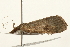  ( - UKLB22D05)  @12 [ ] CreativeCommons - Attribution (2009) Unspecified Centre for Biodiversity Genomics