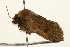  ( - UKLB22E02)  @11 [ ] CreativeCommons - Attribution (2009) Unspecified Centre for Biodiversity Genomics