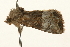 ( - UKLB22G04)  @13 [ ] CreativeCommons - Attribution (2009) Unspecified Centre for Biodiversity Genomics