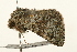  ( - UKLB22H09)  @14 [ ] CreativeCommons - Attribution (2009) Unspecified Centre for Biodiversity Genomics