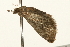  ( - UKLB22H11)  @12 [ ] CreativeCommons - Attribution (2009) Unspecified Centre for Biodiversity Genomics