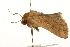  ( - UKLB25A04)  @12 [ ] CreativeCommons - Attribution (2009) Unspecified Centre for Biodiversity Genomics
