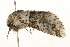  ( - UKLB25B07)  @12 [ ] CreativeCommons - Attribution (2009) Unspecified Centre for Biodiversity Genomics