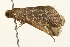  ( - UKLB25D03)  @13 [ ] CreativeCommons - Attribution (2009) Unspecified Centre for Biodiversity Genomics