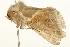  ( - UKLB25E06)  @11 [ ] CreativeCommons - Attribution (2009) Unspecified Centre for Biodiversity Genomics
