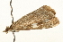  ( - UKLB25E10)  @11 [ ] CreativeCommons - Attribution (2009) Unspecified Centre for Biodiversity Genomics