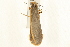  ( - UKLB25F01)  @13 [ ] CreativeCommons - Attribution (2009) Unspecified Centre for Biodiversity Genomics