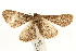  ( - UKLB25G09)  @12 [ ] CreativeCommons - Attribution (2009) Unspecified Centre for Biodiversity Genomics