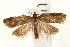  ( - UKLB27A11)  @13 [ ] CreativeCommons - Attribution (2009) Unspecified Centre for Biodiversity Genomics
