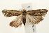  ( - UKLB27B02)  @13 [ ] CreativeCommons - Attribution (2009) Unspecified Centre for Biodiversity Genomics