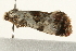  ( - UKLB27B05)  @13 [ ] CreativeCommons - Attribution (2009) Unspecified Centre for Biodiversity Genomics