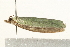  ( - UKLB27C06)  @14 [ ] CreativeCommons - Attribution (2009) Unspecified Centre for Biodiversity Genomics