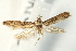  ( - UKLB27C09.fail1)  @11 [ ] CreativeCommons - Attribution (2009) Unspecified Centre for Biodiversity Genomics