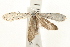  ( - UKLB27C12)  @11 [ ] CreativeCommons - Attribution (2009) Unspecified Centre for Biodiversity Genomics