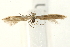  ( - UKLB27D07)  @12 [ ] CreativeCommons - Attribution (2009) Unspecified Centre for Biodiversity Genomics