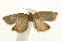  ( - UKLB27E05)  @13 [ ] CreativeCommons - Attribution (2009) Unspecified Centre for Biodiversity Genomics