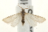  ( - UKLB27E08)  @13 [ ] CreativeCommons - Attribution (2009) Unspecified Centre for Biodiversity Genomics