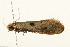 ( - UKLB27F06)  @13 [ ] CreativeCommons - Attribution (2009) Unspecified Centre for Biodiversity Genomics