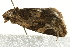  ( - UKLB27F09)  @12 [ ] CreativeCommons - Attribution (2009) Unspecified Centre for Biodiversity Genomics