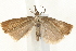  ( - UKLB27H04)  @13 [ ] CreativeCommons - Attribution (2009) Unspecified Centre for Biodiversity Genomics