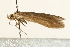  ( - UKLB27H05)  @12 [ ] CreativeCommons - Attribution (2009) Unspecified Centre for Biodiversity Genomics