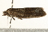  ( - UKLB28B06)  @12 [ ] CreativeCommons - Attribution (2009) Unspecified Centre for Biodiversity Genomics