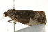  ( - UKLB28F09)  @12 [ ] CreativeCommons - Attribution (2009) Unspecified Centre for Biodiversity Genomics