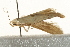  ( - UKLB28G09)  @12 [ ] CreativeCommons - Attribution (2009) Unspecified Centre for Biodiversity Genomics