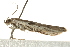  ( - UKLB28H04)  @12 [ ] CreativeCommons - Attribution (2009) Unspecified Centre for Biodiversity Genomics