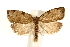  ( - UKLB28H12)  @14 [ ] CreativeCommons - Attribution (2009) Unspecified Centre for Biodiversity Genomics
