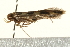  ( - UKLB29A03)  @12 [ ] CreativeCommons - Attribution (2009) Unspecified Centre for Biodiversity Genomics
