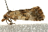  ( - UKLB29A11)  @12 [ ] CreativeCommons - Attribution (2009) Unspecified Centre for Biodiversity Genomics