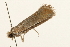  ( - UKLB29B02)  @12 [ ] CreativeCommons - Attribution (2009) Unspecified Centre for Biodiversity Genomics