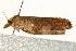  ( - UKLB29B09)  @12 [ ] CreativeCommons - Attribution (2009) Unspecified Centre for Biodiversity Genomics